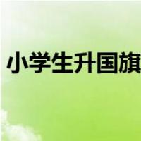 小学生升国旗图片简笔画（国旗图片简笔画）