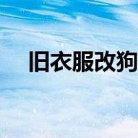 旧衣服改狗狗衣服图解（给狗狗做衣服）