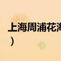 上海周浦花海游玩攻略一日游（上海周浦花海）