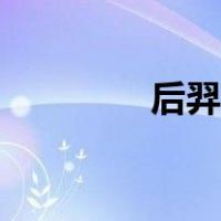 后羿攻略技巧（后羿攻略）