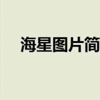 海星图片简笔画彩色（海星图片简笔画）