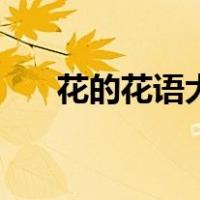 花的花语大全及寓意（花的花语大全）