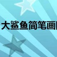 大鲨鱼简笔画图片大全 画法（大鲨鱼简笔画）