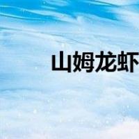 山姆龙虾尾怎么做（龙虾尾怎么做）