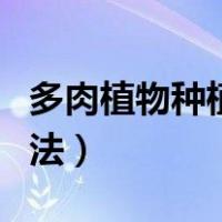 多肉植物种植方法英语翻译（多肉植物种植方法）