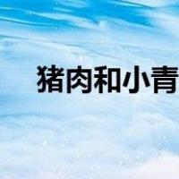 猪肉和小青菜如何包馄饨（如何包馄饨）