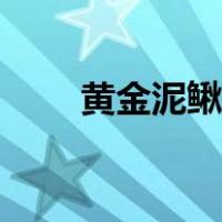 黄金泥鳅能清理鱼缸吗（黄金泥鳅）