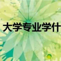 大学专业学什么好男生（大学专业学什么好）