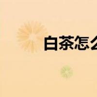 白茶怎么泡才好喝（白茶怎么泡）
