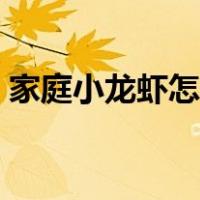 家庭小龙虾怎么做好吃（小龙虾怎么做好吃）