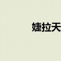 婕拉天赋加点（婕拉辅助天赋）