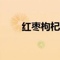 红枣枸杞茶怎么泡（枸杞茶怎么泡）
