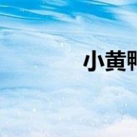 小黄鸭表情包（小黄鸭表情）