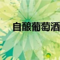 自酿葡萄酒方法介绍（自酿葡萄酒方法）