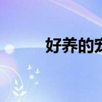好养的宠物犬排名（宠物犬排名）
