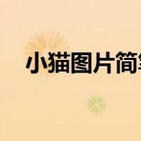 小猫图片简笔画 呆萌（小猫图片简笔画）