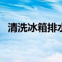 清洗冰箱排水孔小妙招（清洗冰箱小妙招）