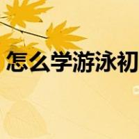 怎么学游泳初学者（怎样学游泳初学者视频）
