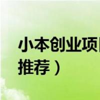 小本创业项目推荐2021养殖（小本创业项目推荐）