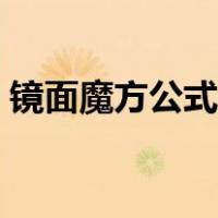 镜面魔方公式图解视频（镜面魔方公式图解）