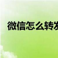 微信怎么转发视频号（微信怎么转发视频）