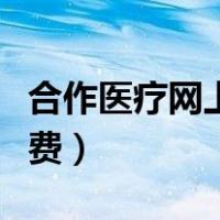 合作医疗网上缴费怎么操作（合作医疗网上缴费）