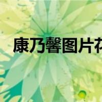 康乃馨图片花语及寓意（康乃馨图片花语）