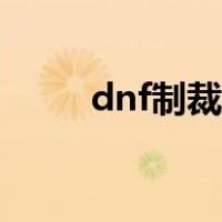 dnf制裁查询官网入口（dnf制裁）