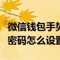 微信钱包手势密码怎么设置的（微信钱包手势密码怎么设置）