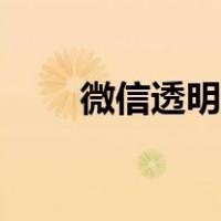 微信透明皮肤教程（微信透明皮肤）