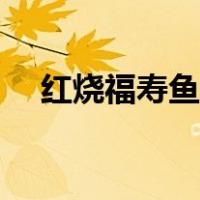 红烧福寿鱼的做法（福寿鱼怎么做好吃）