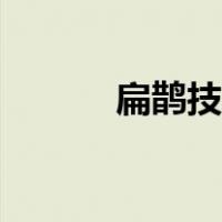 扁鹊技能加点顺序（扁鹊技能）
