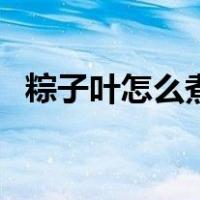 粽子叶怎么煮煮多长时间（粽子叶怎么煮）