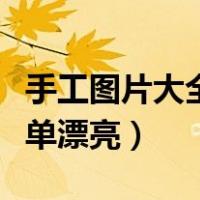 手工图片大全简单漂亮视频（手工图片大全简单漂亮）