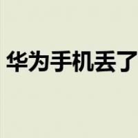 华为手机丢了怎么定位（手机丢了怎么定位）