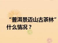 “普洱景迈山古茶林”列入世界遗产，历经13年申遗 这是什么情况？