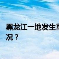 黑龙江一地发生重大刑事案件，嫌疑人已被抓获 这是什么情况？