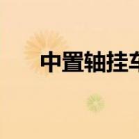 中置轴挂车倒车技巧（挂车倒车技巧）