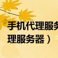 手机代理服务器有问题或者地址有误（手机代理服务器）