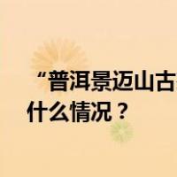 “普洱景迈山古茶林”列入世界遗产，历经13年申遗 这是什么情况？