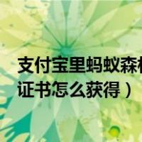 支付宝里蚂蚁森林环保证书怎么获得（支付宝蚂蚁森林环保证书怎么获得）