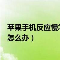 苹果手机反应慢怎么办清理内存垃圾清理（苹果手机反应慢怎么办）