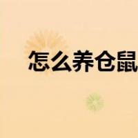 怎么养仓鼠才不会臭（仓鼠怎么养不臭）