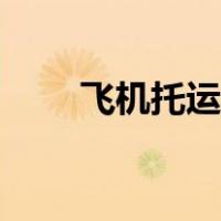 飞机托运行李价格（托运行李价格）
