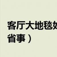 客厅大地毯如何自己清洗（地毯怎么清洗方便省事）