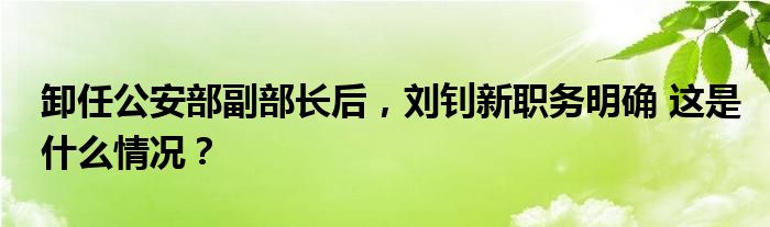 卸任公安部副部长后，刘钊新职务明确 这是什么情况？