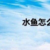 水鱼怎么玩法规则（水鱼怎么玩）