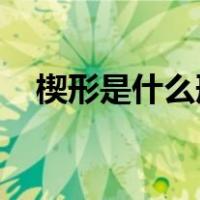 楔形是什么形状 鞋子（楔形是什么形状）