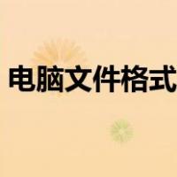 电脑文件格式怎么转换（文件格式怎么转换）
