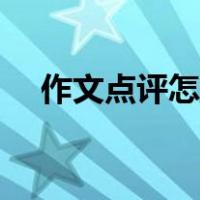 作文点评怎么写评语（作文点评怎么写）